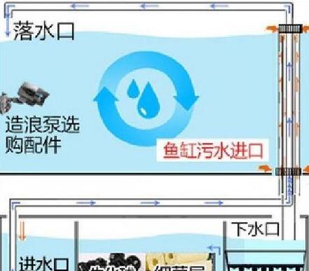 新手必看：50升生态缸过滤开缸养鱼指南，水质清洁技巧