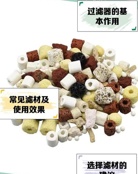 鱼缸水质管理：藤棉处理与养水技巧