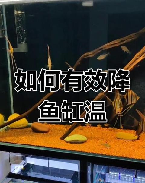 冬季地暖除燥小技巧