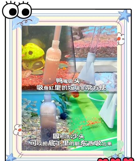 鱼缸鱼屎过滤方法全解析