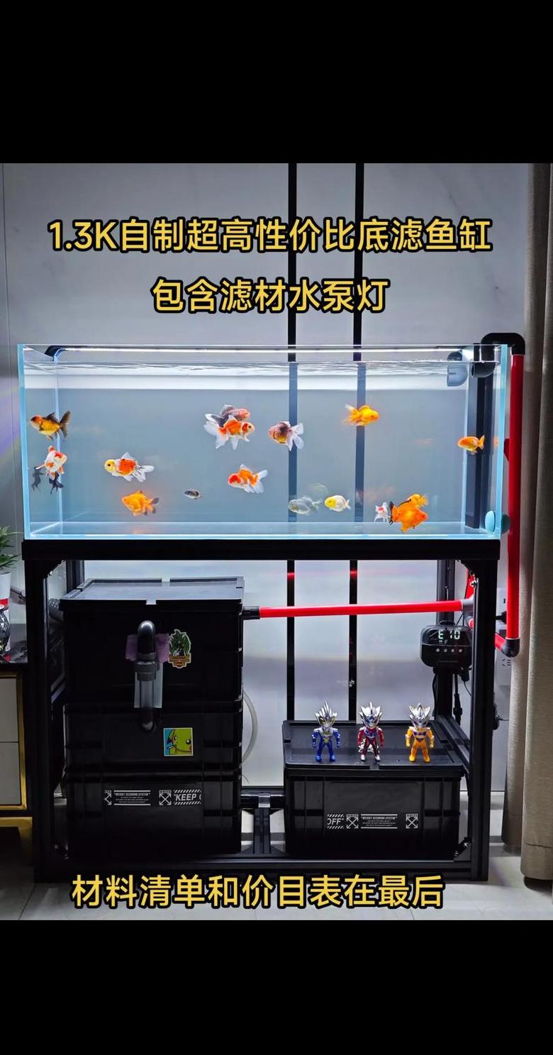 鱼缸滤材更换周期指南