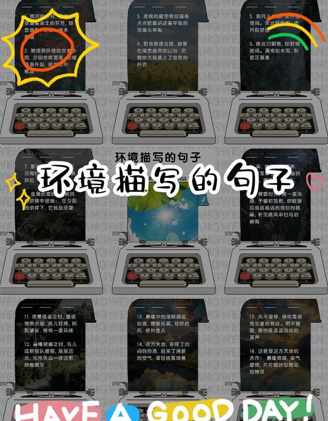 校园绿荫小径：感受夏日清凉与自然之美