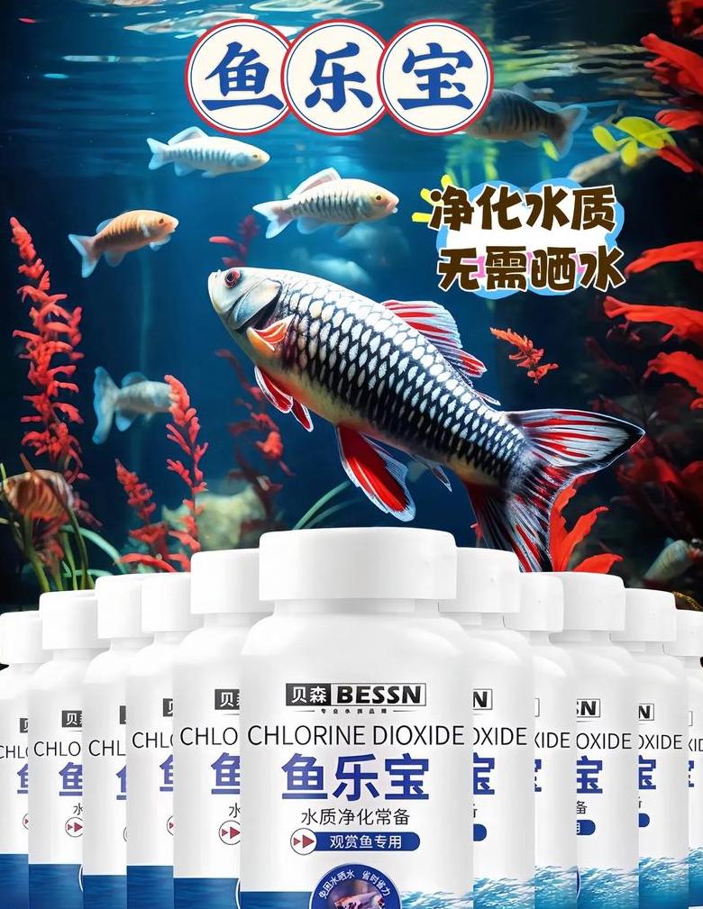 鱼缸水质与用品使用指南：安全搭配与解决孔雀鱼烂尾问题
