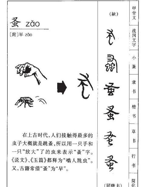 对马岛之魂壹岐岛攻略：互助精神与游戏技巧解析