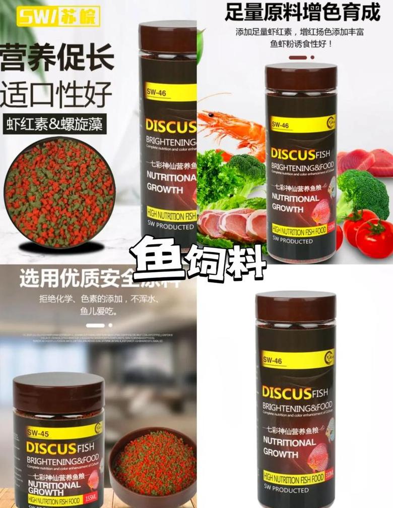 小型热带鱼喂食指南：频率与技巧