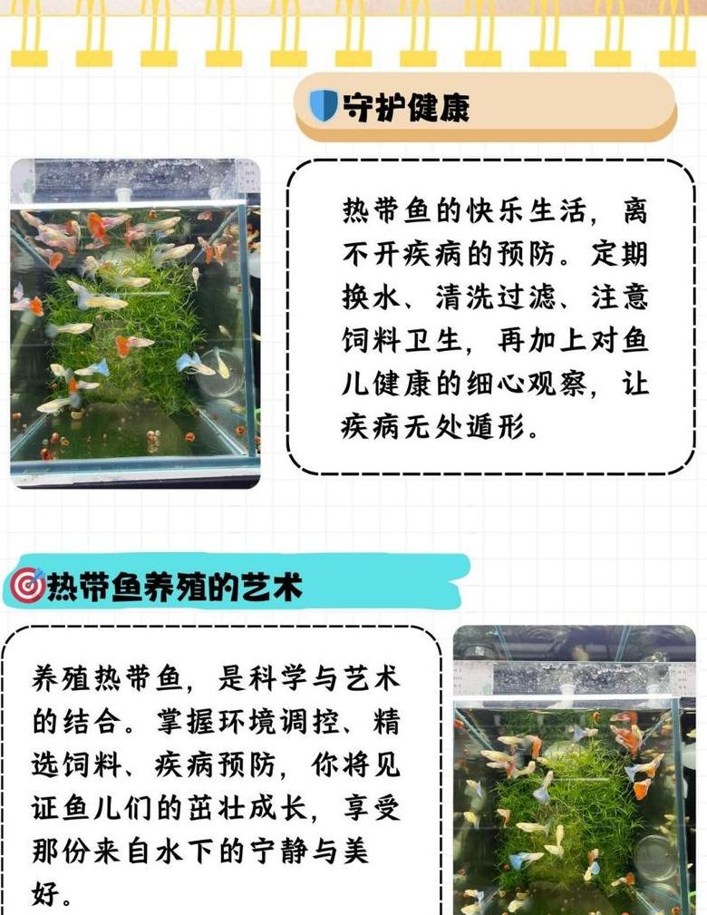 热带鱼水草种植指南：放与不放？新手必看！