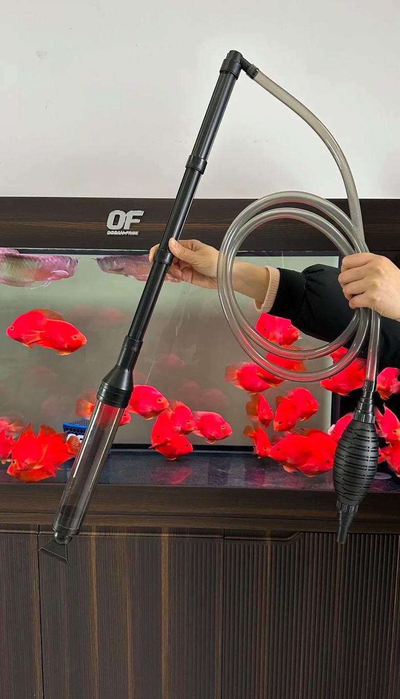 鱼缸水泵噪音大处理攻略