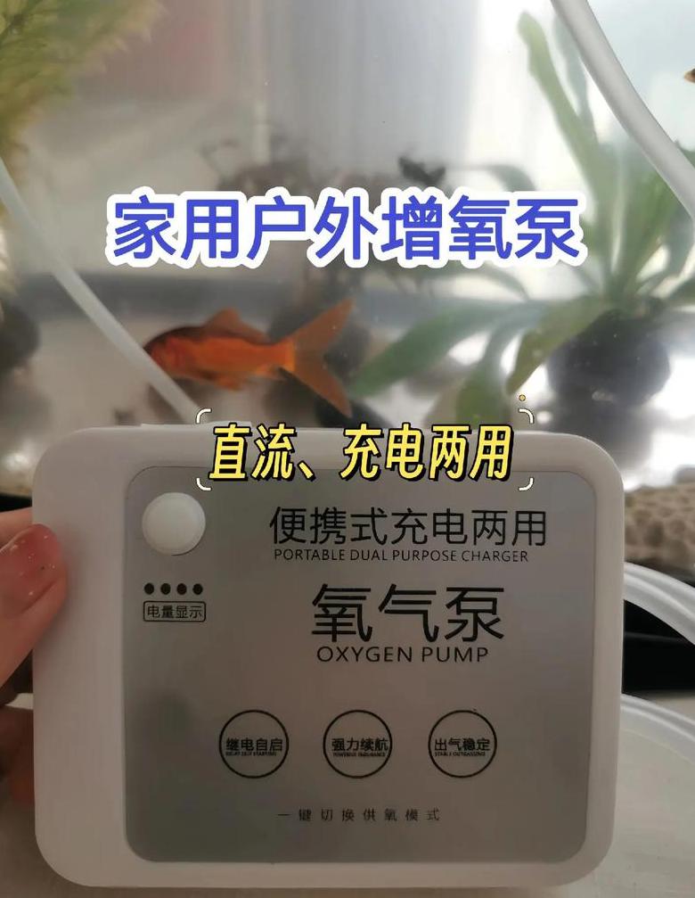 鱼缸增氧泵正确安装与使用指南