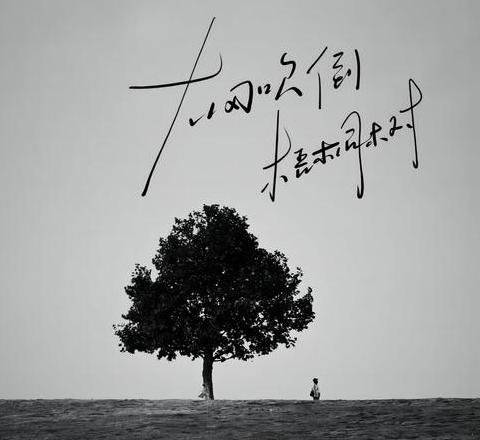 解析拟人化句：风儿轻拂树林，如同母爱轻抚