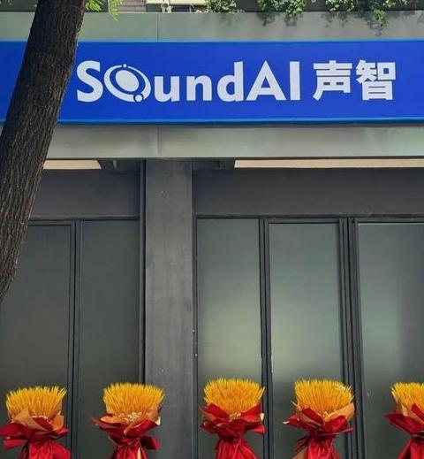 深圳新未来贸易有限公司简介及信息解读