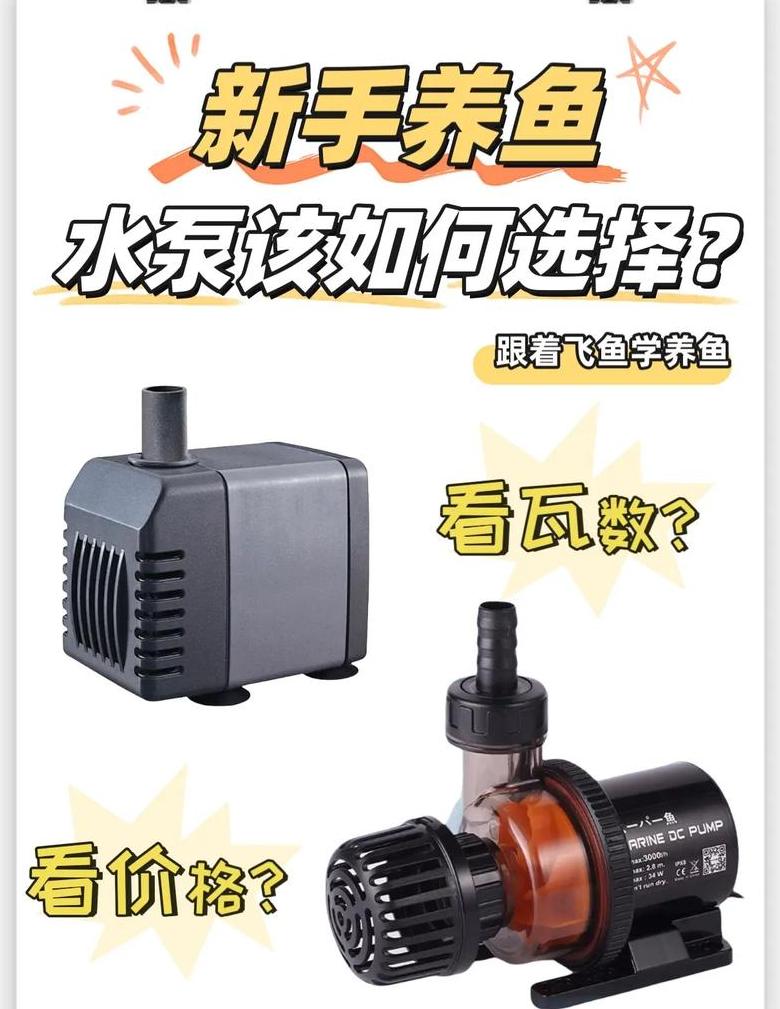 鱼缸水泵噪音处理技巧全解析
