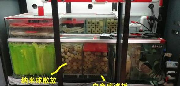 鱼缸背滤滤材正确摆放顺序全解析