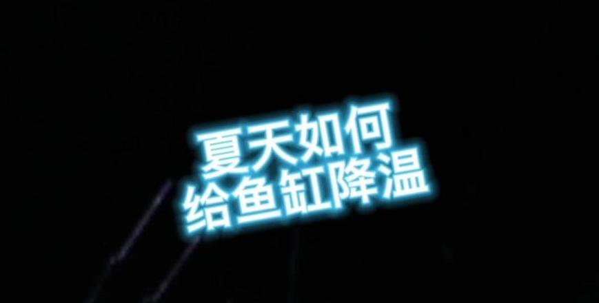 夏季养孔雀鱼，如何科学控制水温？