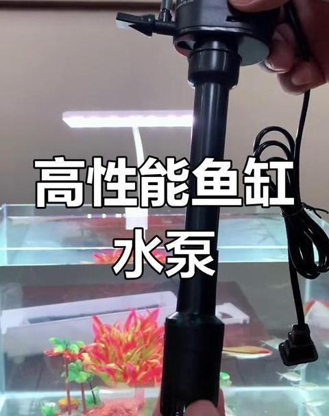鱼缸过滤器增氧效果解析