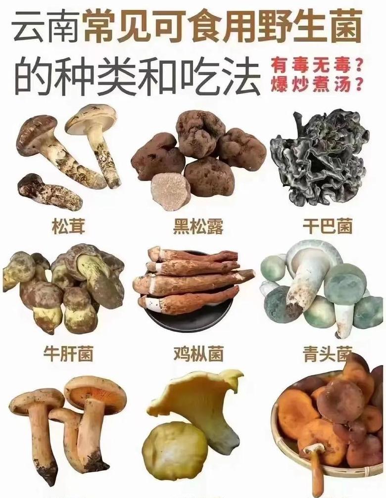 食品级不锈钢：304与201区别对比