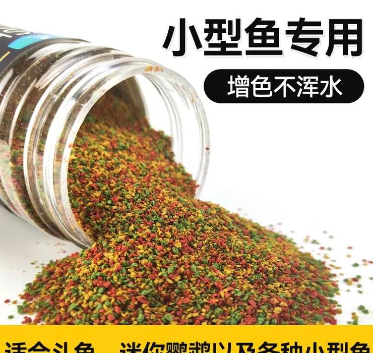 小型热带鱼喂食频率与量指南