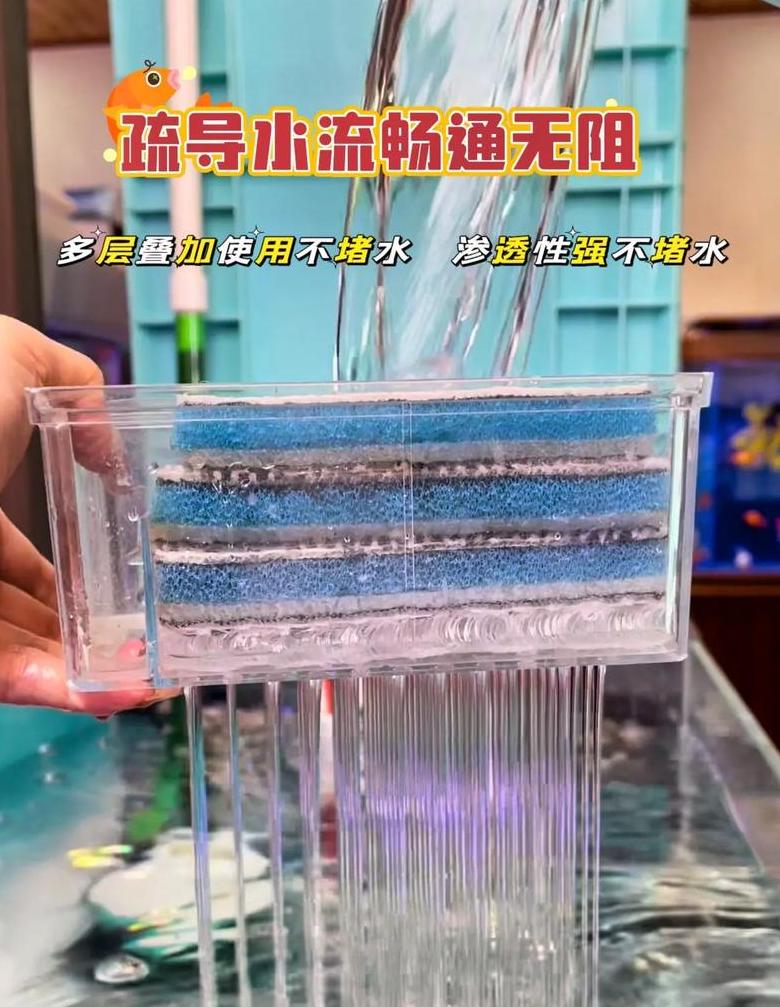 鱼缸滤材更换周期及种类全解析