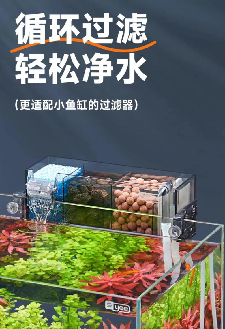 七彩2公分鱼苗养殖攻略：水温、水质与饲料全解析