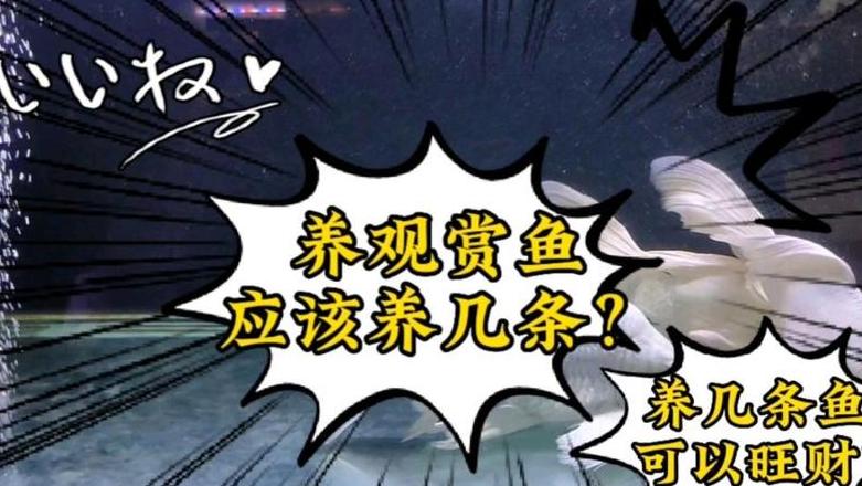养鱼秘诀：为何单数鱼更胜一筹？