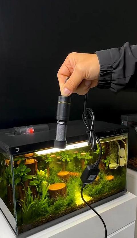 冷水鱼加热棒使用指南