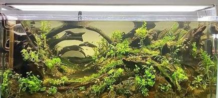 底滤鱼缸水流计算与鱼缸容量选择指南