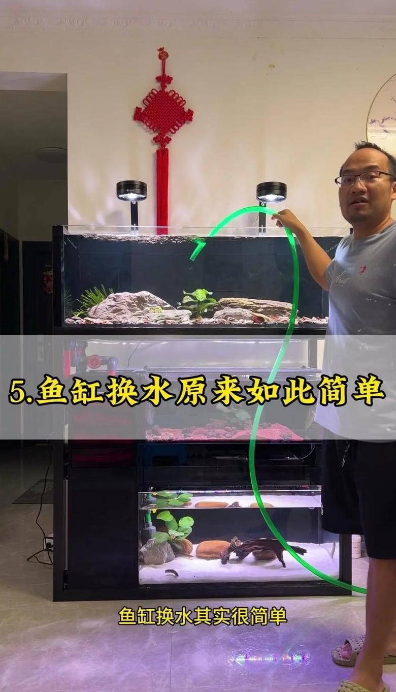 热带鱼缸换水频率及正确方法指南