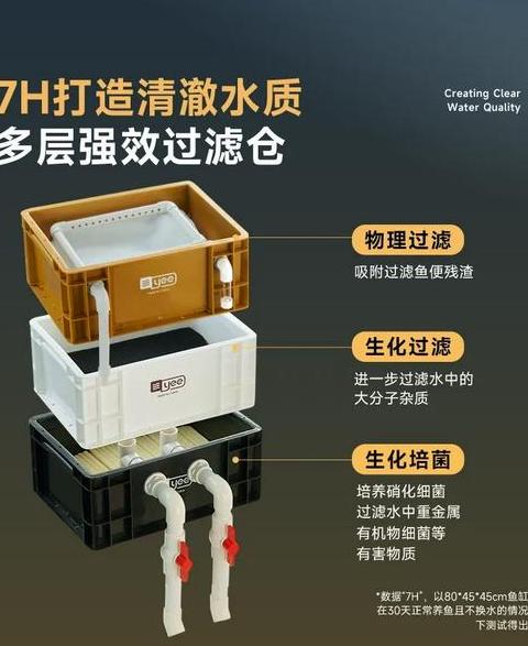鱼缸过滤棉更换周期及清洁技巧