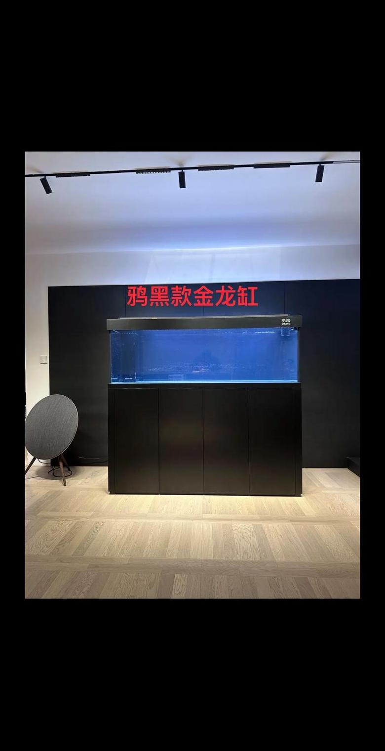 一米鱼缸养鱼攻略：锦鲤与一般鱼的饲养数量揭秘