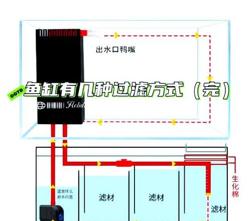 鱼缸过滤材料全解析：三层过滤材料与最佳选择
