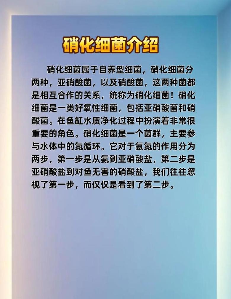 鱼缸水质浑浊解决方案及硝化细菌维护技巧