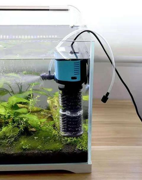 鱼缸水泵噪音处理攻略：投诉与降噪两不误
