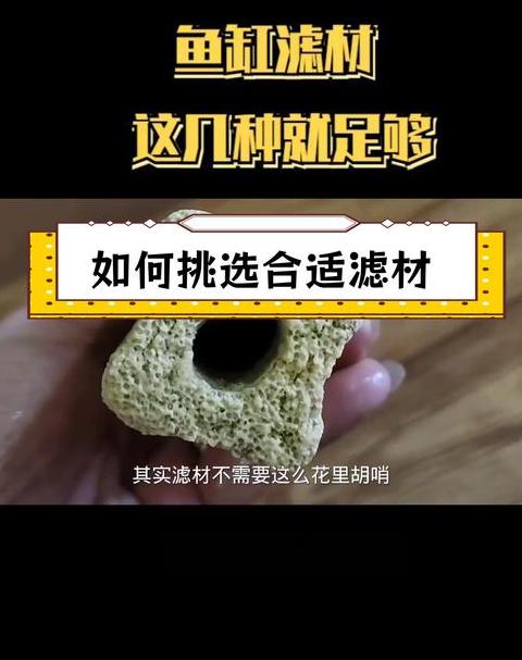 鱼缸滤材清洗与放置指南