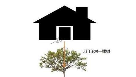 门口种植柳树风水解析与注意事项