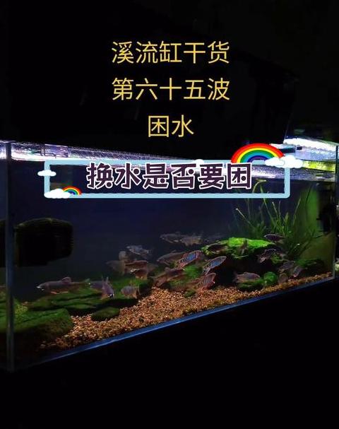 水族馆水质浑浊原因及解决方案
