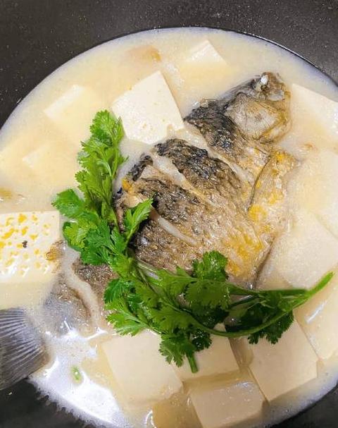 鲫鱼煲汤最佳食材搭配