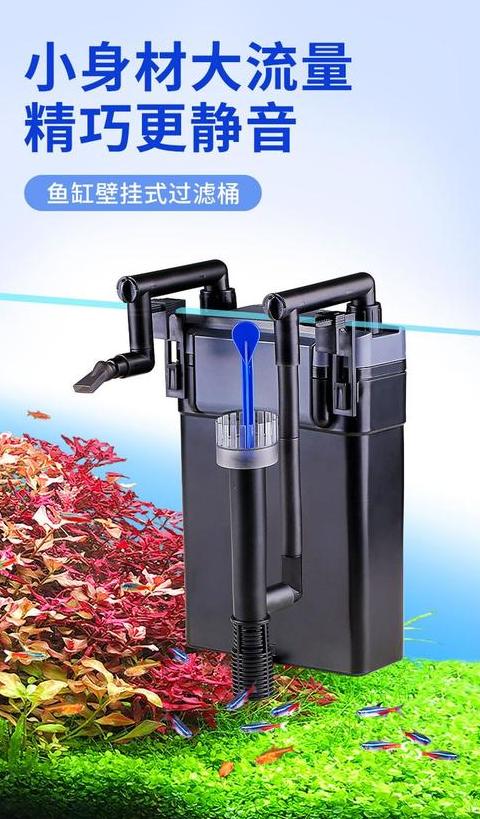 鱼缸过滤器不上水原因及解决方法